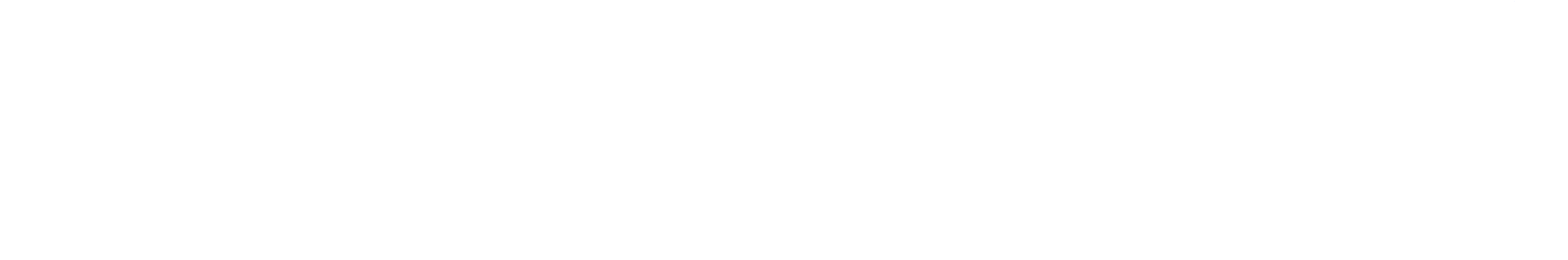 Eternex