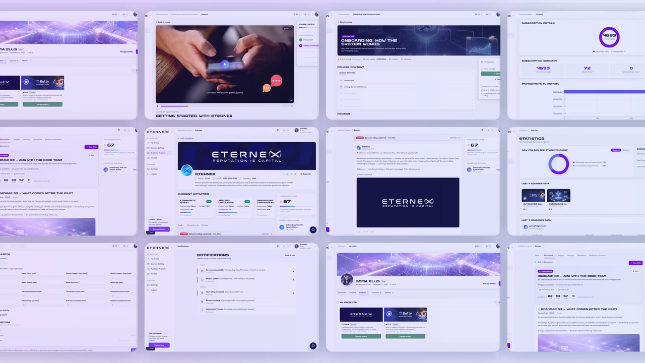Demonstration of the Eternex platform